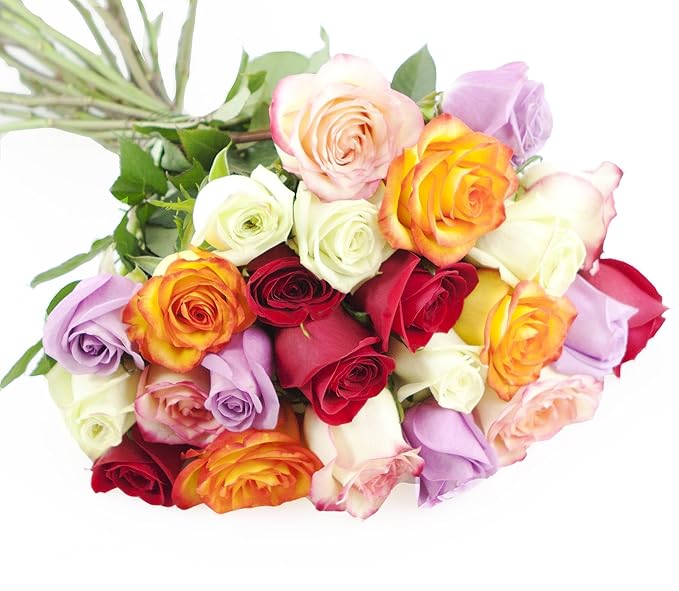 KaBloom - Bouquet of Long Stemmed Assorted Roses (Two Dozen) - Fresh Flowers for Birthday, Valentine's & Mother's Day