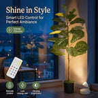 Artificial Fiddle Leaf Fig Tree 3ft (36 Inch) Tall - with Remote LED Spotlight - Realistic Faux Potted Plant & Moss for Living Room & Office Decor