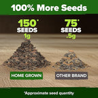 HOME GROWN Will Rogers Zinnia Seeds - 150 Zinnia Flower Seeds for Planting Outdoors - Tall Zinnia Elegans Cut Flowers - Heirloom Non-GMO Zinnia Seeds for 2026