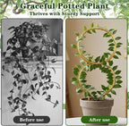 Nogeqi 2 Pcs Plant Support for Climbing, Metal Plant Trellis Indoor, 12 Inch Small Plant Stakes for Indoor Plants, Trellis for Climbing Plants Garden Potted (Gold)