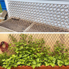 Expandable Willow Trellis for Climbing Plants Outdoors,Nature Garden Fence Lattice Panels for Outside Plant Support for Vine, Ivy, Rose, Cucumbers, Clematis 36x92 Inch(1PC)