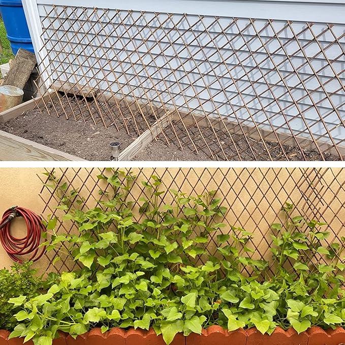 Expandable Willow Trellis for Climbing Plants Outdoors,Nature Garden Fence Lattice Panels for Outside Plant Support for Vine, Ivy, Rose, Cucumbers, Clematis 36x92 Inch(1PC)