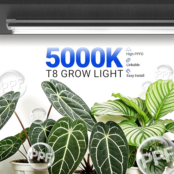 Barrina Grow Lights, 2FT 5000K White Full Spectrum Plant Growing Lamps, 144W(6 x 24W, 800W Equivalent), T8 LED Grow Light Bulbs, Plant Lights for Indoor Plants, Greenhouse, Linkable Design, 6-Pack