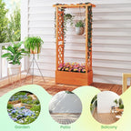 MAT EXPERT Raised Garden Bed with Trellis & Hanging Roof, Lattice Panel with Drainage Hole for Flower, Climbing Plant, Herb, Planter Box for Garden, Patio, Yard (1, 31" L x 14" W x 60" H)