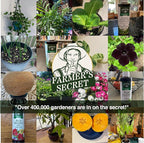 Farmer’s Secret Soil Revitalizer (128oz) - Organic (OMRI Listed) Dirt Health Booster - Liquid Compost Soil Amendment - Activated Humic Acid - Great for Fall/Spring Application