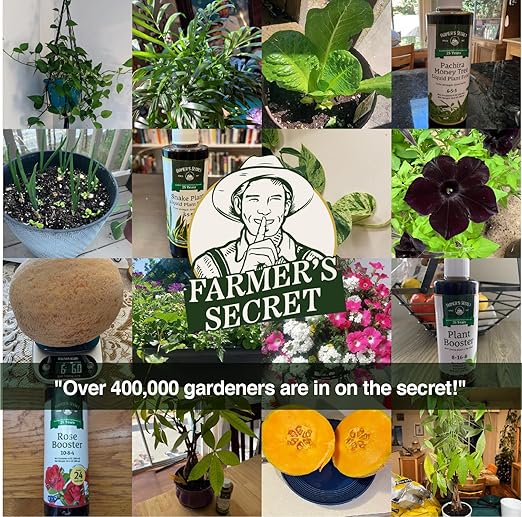 Farmer's Secret Tropical Houseplant Booster (4oz) - Super Concentrated, Makes 48 Gallons - Great for All Tropical Houseplants (Monstera, Fiddle Leaf, ZZ Plants, and more) - Easy to use Drip Top