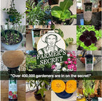 Farmer's Secret Tropical Houseplant Booster (4oz) - Super Concentrated, Makes 48 Gallons - Great for All Tropical Houseplants (Monstera, Fiddle Leaf, ZZ Plants, and more) - Easy to use Drip Top