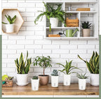 Ziliny 10 Pcs 3 Inch Self Watering Pots Self Watering Planters for Indoor Planters Plastic Garden Flower Pots with Level Indicator Vents for Herbs