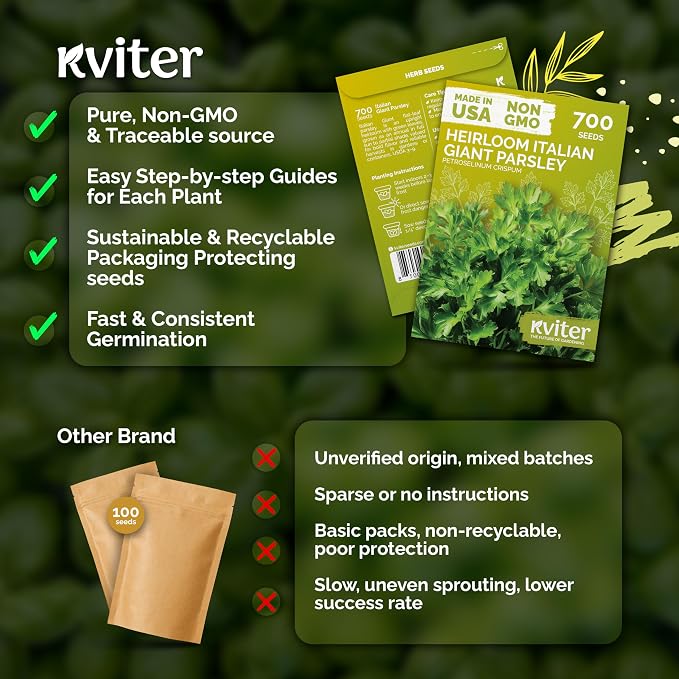 KVITER 700 Italian Giant Parsley Seeds (Petroselinum Crispum) - Italian Flat Leaf Parsley, High Yield, Non GMO Seed Packets - Heirloom Herb Seeds, Culinary Herb for Indoor & Outdoor Garden