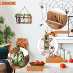 Plant Terrarium Propagation Stations Hydroponics Halloween Skull Planter Vase Skulls Decor with Wooden Stand Gift for Father