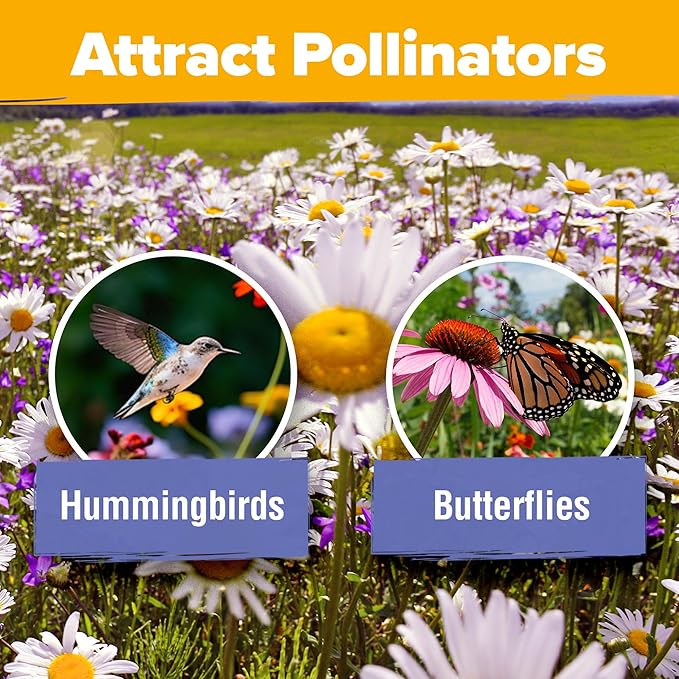 HOME GROWN Wildflower Seeds Mix - 47,400+ Non-GMO - 19 Perennial Flower Varieties for Planting Outdoors - Attract Butterflies & Birds - 3oz Wild Flower Seed Mix