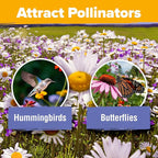HOME GROWN Wildflower Seeds - 44,000 Non GMO USA Perennial Seeds (2oz) 19 Varieties for Butterfly & Pollinator Garden - Wild Flower Seed Mix for Full Sun & Shade