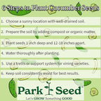 Park Seed Variety of Cucumber Seeds – Mini-Me F1 Organic & Green Light F1 | Easy to Grow, Non-GMO, Crisp & Flavorful Cucumbers for Snacking and Harvesting | Garden Bundle
