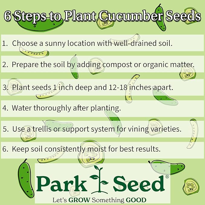 Park Seed Garden Combo – Mini-Me F1 Organic Cucumber Seeds & Honey Select Triplesweet Hybrid Corn Seeds | Non-GMO | Easy to Grow | Crisp Cucumbers & Sweet Corn | 2 Pack Bundle