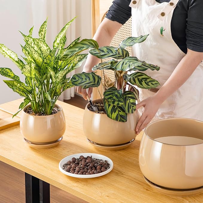 vancasso 3-Pack Ceramic Plant Pots, 7.3/9.6/11.6 Inch Indoor Planters with Saucers & Drainage Hole Planter pots for Indoor Plants and Flower, Brown
