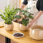 vancasso 3-Pack Ceramic Plant Pots, 7.3/9.6/11.6 Inch Indoor Planters with Saucers & Drainage Hole Planter pots for Indoor Plants and Flower, Brown