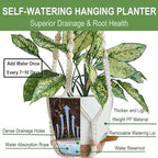 3 Pack 10/8/7 Inch Hanging Planters for Indoor Plants with Self-Watering Hanging Pots with Drainage, 3 Different Size Macrame Plant Hangers with Hooks White Large
