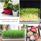 RooTrimmer 5 Pack Large Stainless Steel Seedling Trays, Heavy Duty Metal Water Catch Trays for Nursery Pots-Transplant, Seed Germination & Propagation Flats (17.5 inch×13.56 inch, 1.18" Height)