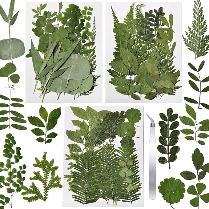 63 Pcs Dried Flowers for Resin, 21 Styles Pressed Leaves , Natural Dry Leaves for Pressed Leaf Art Craft DIY Embellishment Decorations