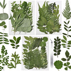 63 Pcs Dried Flowers for Resin, 21 Styles Pressed Leaves , Natural Dry Leaves for Pressed Leaf Art Craft DIY Embellishment Decorations