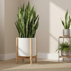 D'vine Dev Ceramic Planter with Natural Stand - 14 Inch Modern Round Flower Pot with Wood Planter Holder, White, 55-B-R-1