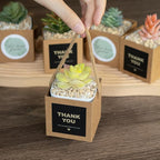 Temlum 2.5 Inch Succulent Wrap Bags (Fits 2.5″ Pots) with Thank You & Let Love Grow Stickers, Small Gift Box for Wedding, Baby Shower, Succulent Party Favors for Guests (Brown 100pcs)