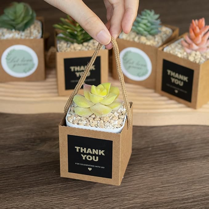 Temlum 2.5 Inch Succulent Wrap Bags (Fits 2.5″ Pots) with Thank You & Let Love Grow Stickers, Small Gift Box for Wedding, Baby Shower, Succulent Party Favors for Guests (Brown 100pcs)