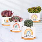 SAIWEILAI Ceramic Succulent Planter Pots Set of 9 with Bamboo Trays, Round Painted Plant Pots for Indoor Desktop Decoration, White