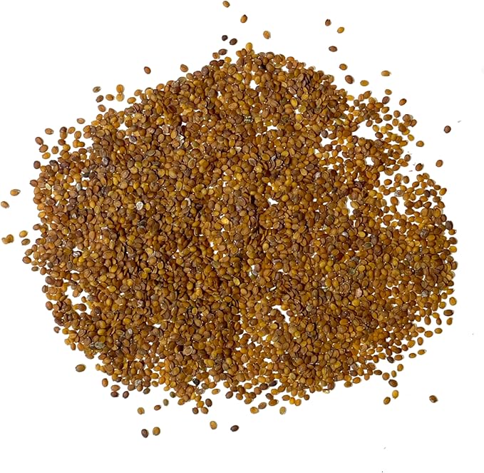 Seed Needs Heirloom Alyssum Flower Seed Packet Collection Variety Pack (Includes 4 Packets) Basket of Gold, Royal Carpet, Dwarf Pink & Carpet of Snow - Perfect for Rock Gardens
