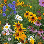 Eden Brothers Cut-Flower Wildflower Seed Mix