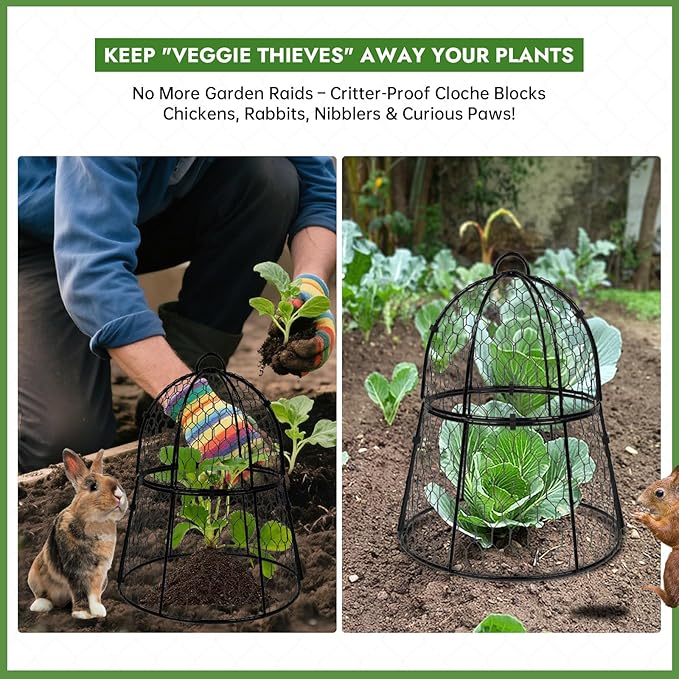 Decoroca 2 PCS Garden Cloches for Plants - Chicken Wire Plant Protectors from Animals, Outdoor Cloches Keep Squirrels, Rabbits & Birds Out of Vegetable - DIY in 5 Forms - Sturdy Anti-Rust Dome