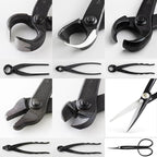 Wazakura Made in Japan 6PCS Bonsai Professional Tool Kit with Roll Bag: Yasugi Steel Twig Scissor, Concave Branch Cutter, Knob Cutter, Jin Plier, Wire Cutter, Root Cutter. Bonsai Tool Set with Case
