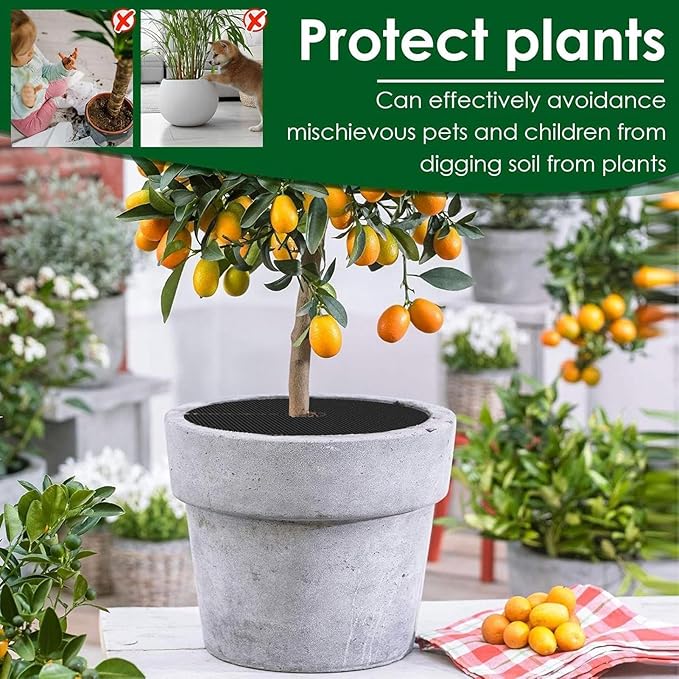 Pot Cover ‑ 10 Pieces Cuttable Planter Guard, with 10 Stakes Round Pot Grid for Indoor Gardening Moss Kitten Dog Gidding Squirrel Animal Protective Mesh Garden Accessories