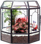 REDHUGO Large Glass Terrarium Handmade, Centerpiece Display Box Gift Planter Containers Indoor Terrariums House for Succulent Cacti Air Plants Miniature Fairy Garden