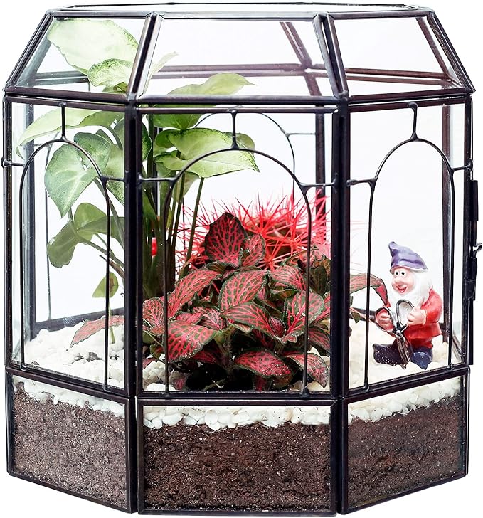 REDHUGO Large Glass Terrarium Handmade, Centerpiece Display Box Gift Planter Containers Indoor Terrariums House for Succulent Cacti Air Plants Miniature Fairy Garden
