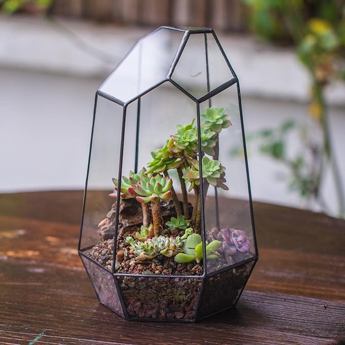 NCYP No Door Geometric Glass Terrarium Planter for Small Succulent, Small Cacti, Black Irregular Opened Terrarium Pot, Indoor Home Garden Office Tabletop Decor, 6.5" x 5.7" x 9.8" (No Plants)