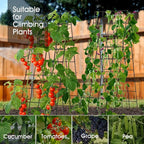 Cucumber Trellis for Raised Bed, Rifny 16.5 x 60 Inch Metal Trellis for Climbing Plants Outdoor with Plant Clips Twist Ties, Garden Plant A-Frame Trellis for Vegetable Pea Tomato (Black, 2 PCS)
