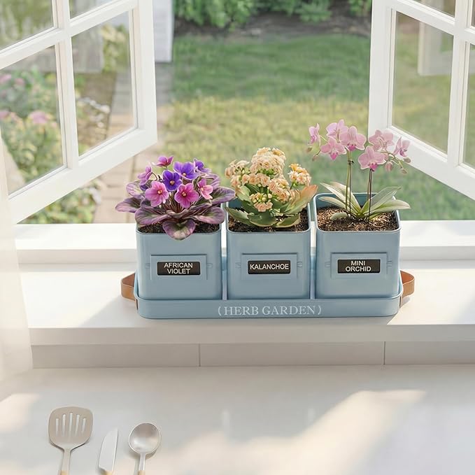 PERFNIQUE Indoor Herb Garden, Herb Garden Planter Set with Tray, Farmhouse Indoor Plant Pots, Windowsill Herb Garden with Drainage(Planter only) for Indoor/Outdoor, Window Pots(Sky Blue)