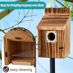 2 Pack Bird Houses for Outside, Outdoors Birdhouse Feeder for Bluebird,Cardinal,Purple Martin and Sparrow,Wooden Cedar Hanging Birds Nest,Easy to Clean,No Assembly Needed