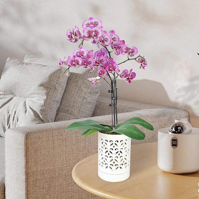 Orchid Pots with Holes 4 Inch, Ceramic Orchid Pot for Repotting with Saucers,More Ventilation Hole Easy Breathing, Plant Pot for Repotting Orchids and Other Flowers - Indoor/Outdoor
