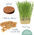 Cat Grass Growing Kit -Organic Seed, Soil and BPA Free containers (Non GMO). All of Our Seed is Locally sourced! (1 Pack)