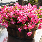 Artificial Flowers for Outdoor, UV Resistant Fake Silk Pansies Flowers, Realistic Faux Plants for Outside Indoor Porch Patio Window Box Planter Home Decor (16, Pink)