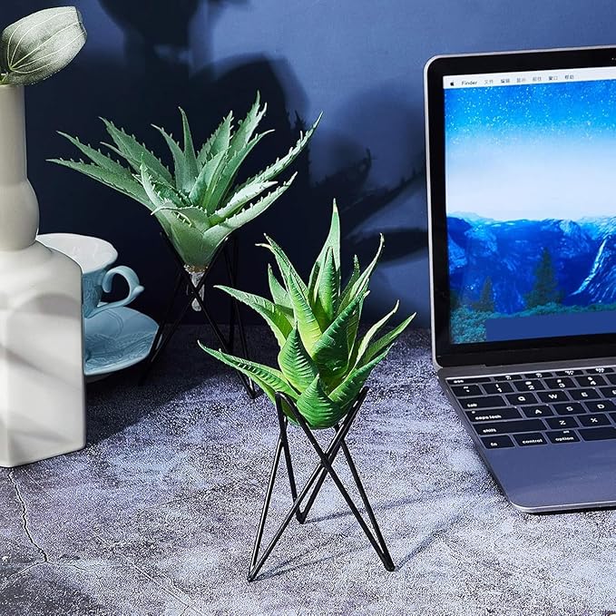 Jetec 6 Pcs Air Plant Holder Airplants Live Holders Airplants Rack Black Metal Desk Plant Rack for Home Office Study Balcony Garden Patio Wedding Decoration Gift
