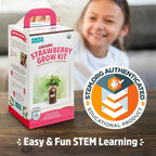 Back to The Roots Organic Strawberry Grow Kit — Grows Year Round, Includes Everything Needed for Planting