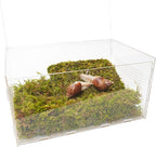Snail Terrarium Kit with Climbing Accessories11.22 L x 7.87" W x 6" H Clear Small Animal House for Snails, Caterpillars& Small Critters – Includes 7" Climbing Wall and Substrate