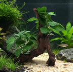 M2cbridge Artificial Fish Tank Plants Aquarium Plant Aquatic Water Grass Foreground Decor(2PCS Large Green)