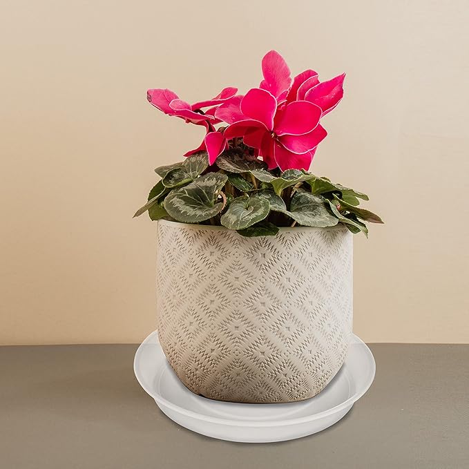 2 Pack of 10 inch Plant Saucer Gray, Heavy Duty Plastic Plant Saucer 10 inch Round, Durable Plant Tray for Pots, Plant Saucers for Indoors, Plant Trays for Planter 9"/10" (10", Clear)