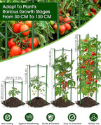 Tomato Cage, 3Pack 51.2inch Tall Tomato Trellis Triangle Tomato Cages for Garden Climbing Plants, Raised Garden Bed Plant Support Stakes for Garden,Pots, Plant Cages & Supports（Extra Bold）