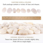 5 lbs Approx. 45 White River Rocks Stones for Plants Pebbles for Indoor Plants | Aquarium Fish Tank Rocks | Polished Decorative Rocks for Vases (1.6-2.4 Inches)