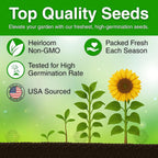 394+ Giant Mammoth Sunflower Seeds for Planting, Pack for 2026 USA Premium Non-GMO Flower Seeds - Bulk Packet, Heirloom, High Germination, Helianthus annuus